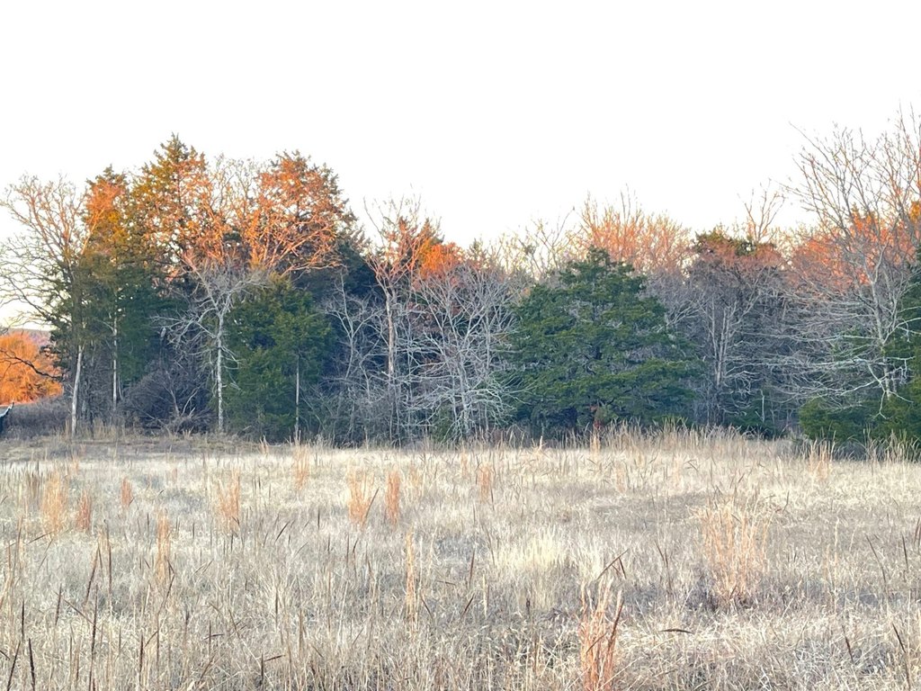 Picture 33