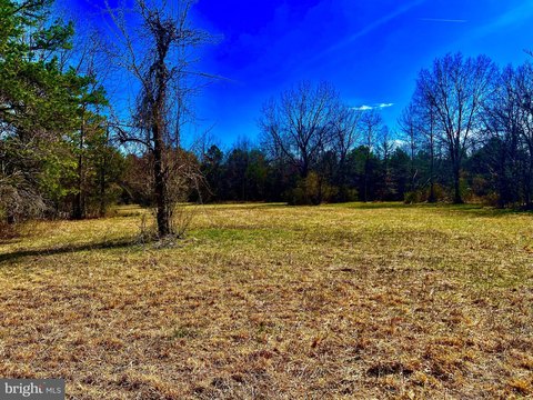 Secluded 17-Acre Culpeper Land Parcel