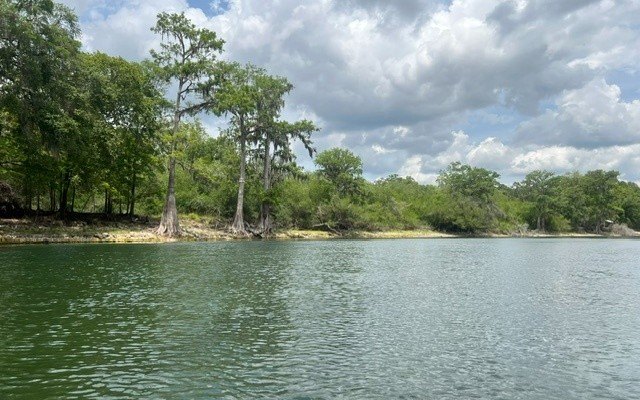 Picture 11