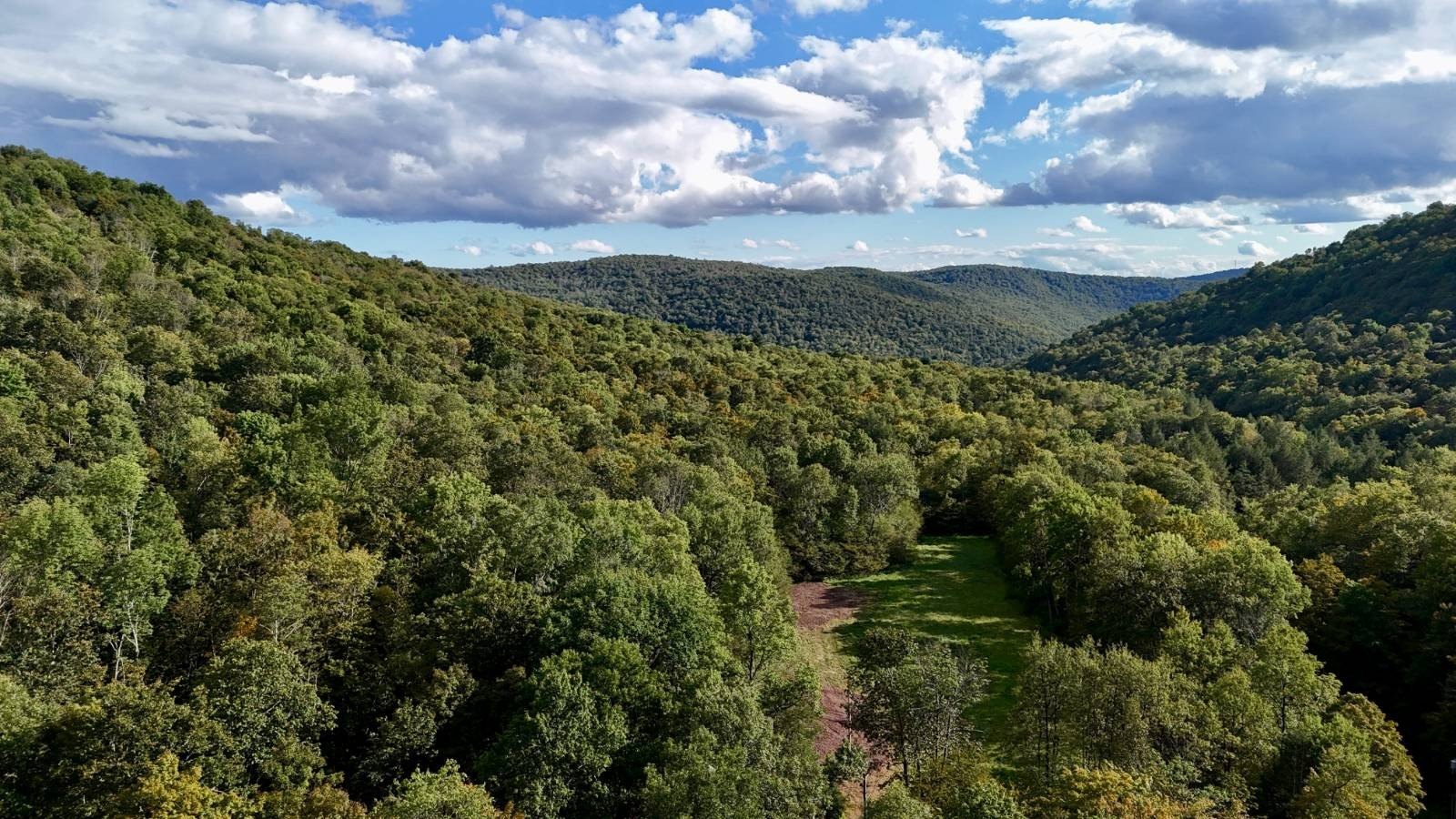 50.8 Acres Vacant Land in NY