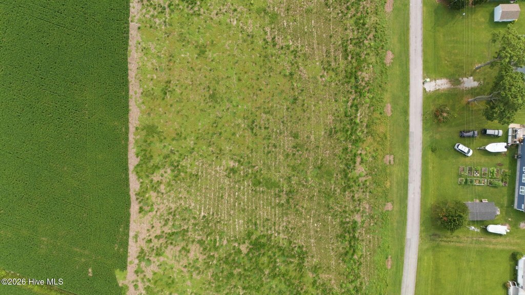 Picture 11
