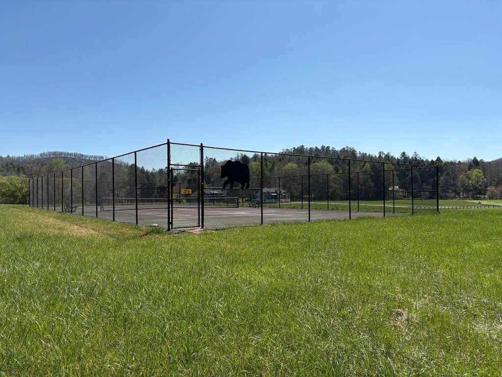 Picture 8