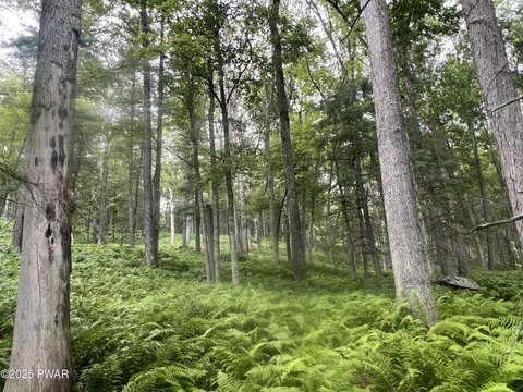 Land with Existing Infrastructure