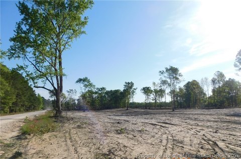 Residential Land in Fairmont, NC