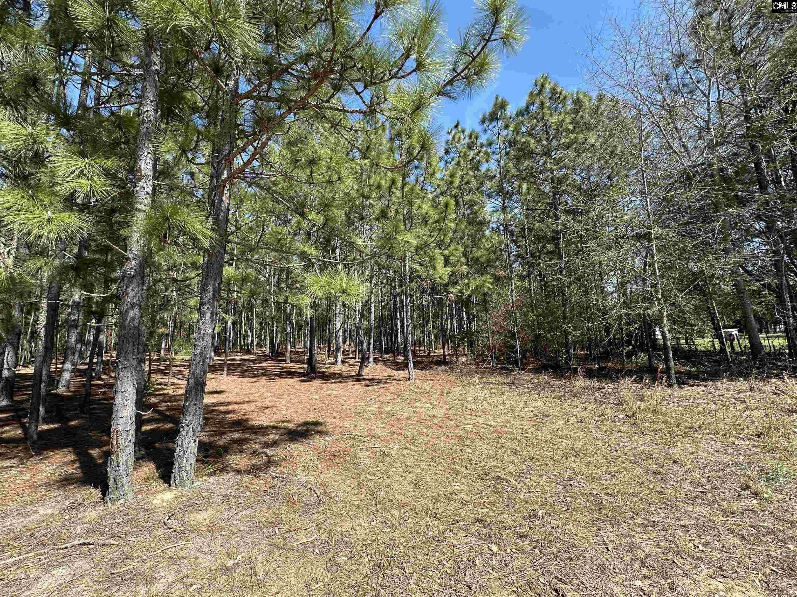 Gaston, SC Residential Land