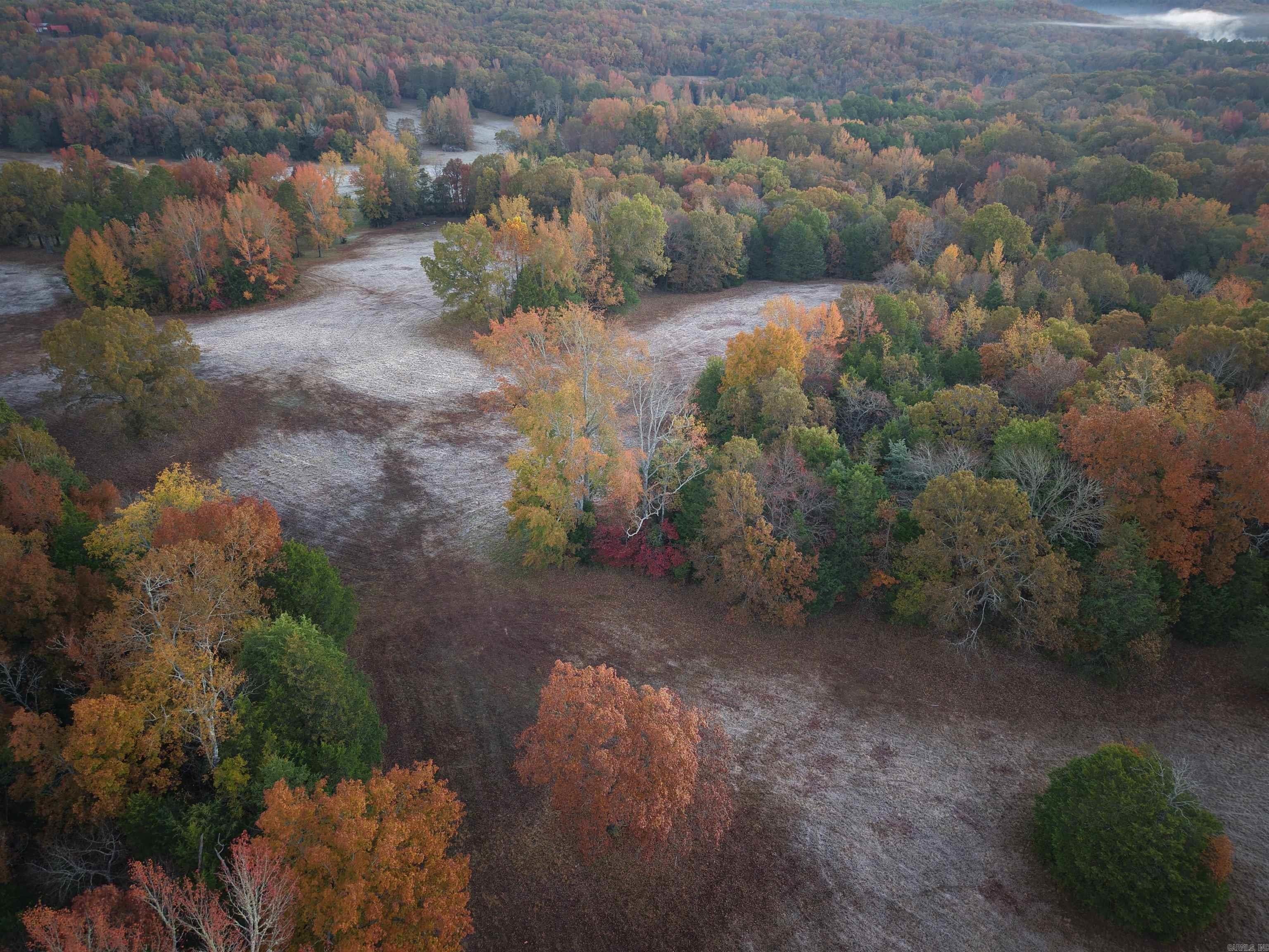 50 Acres of Arkansas Beauty