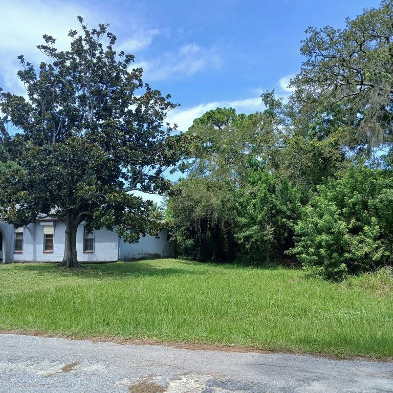Picture 5