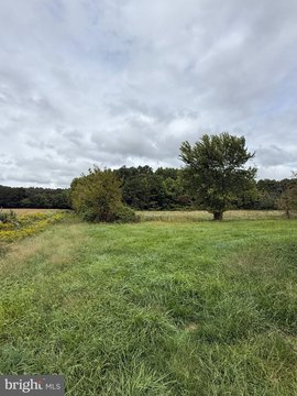 Land, CAMDEN WYOMING, DE