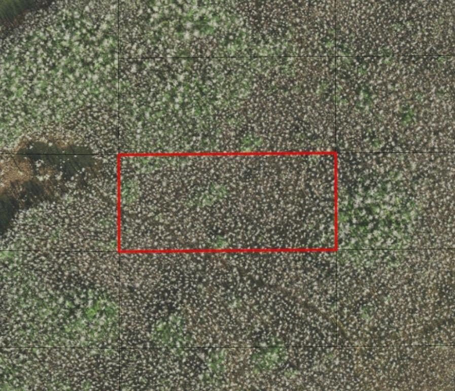 Land in Holopaw