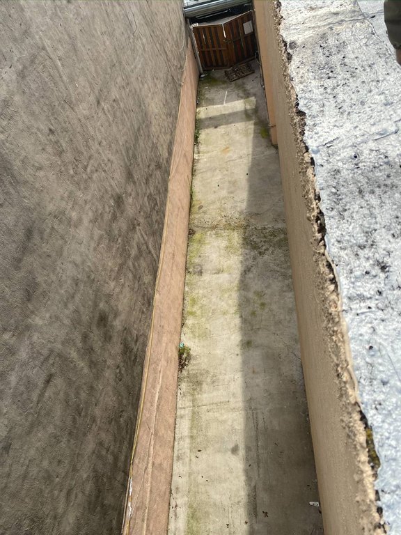 Picture 25