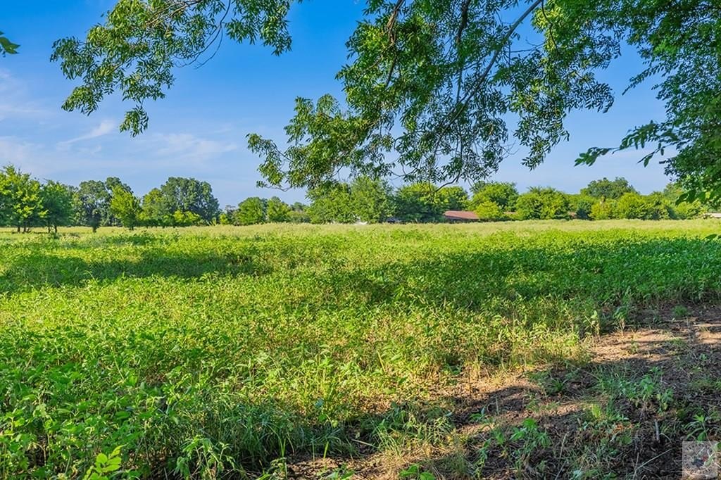 Picture 16