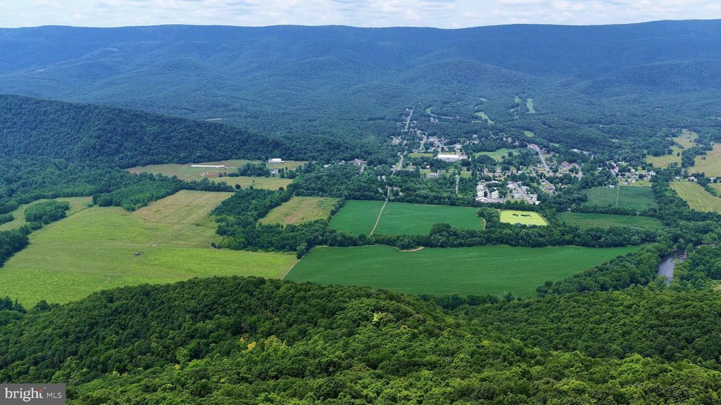 Picture 7