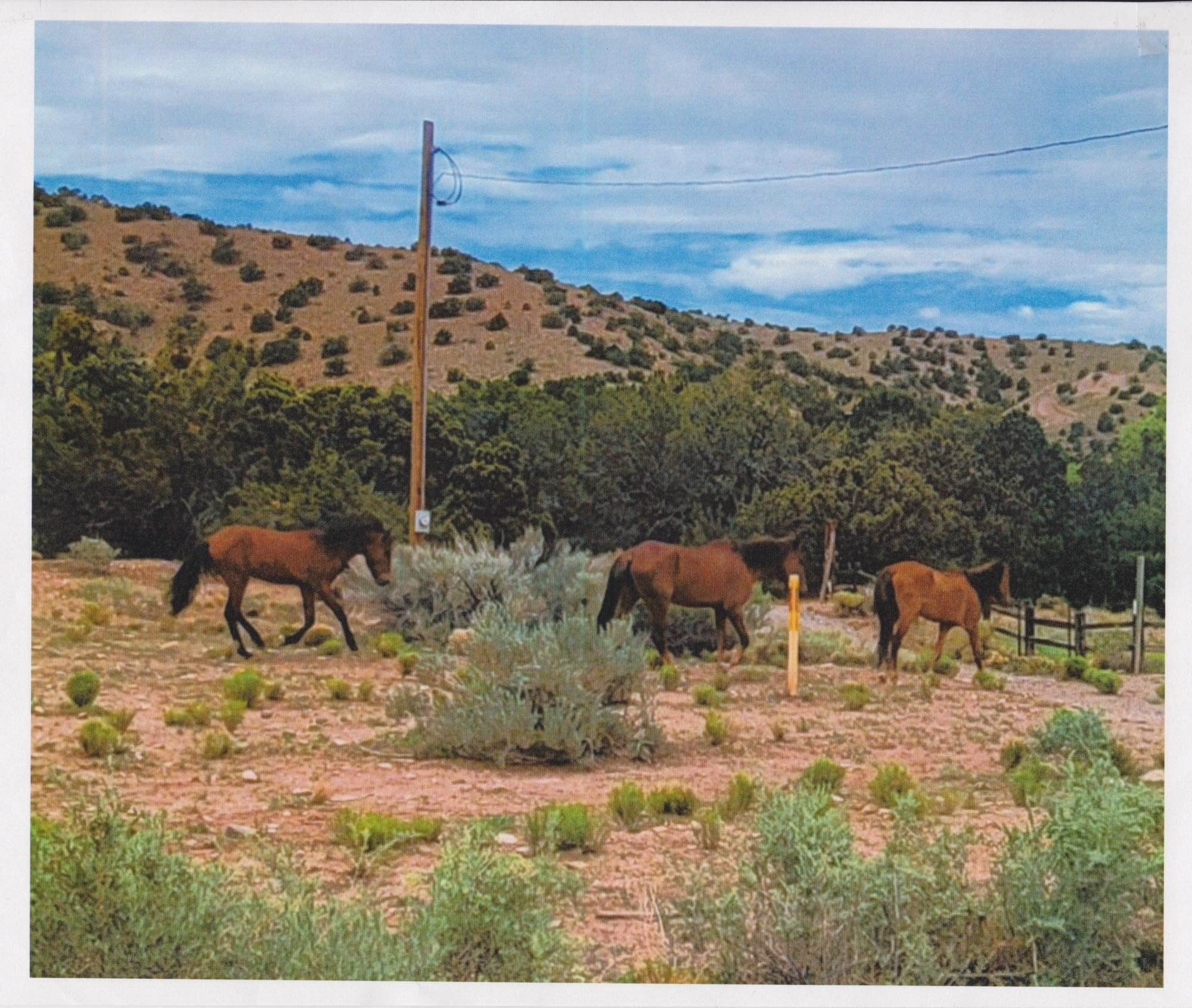 Land in Placitas, New Mexico