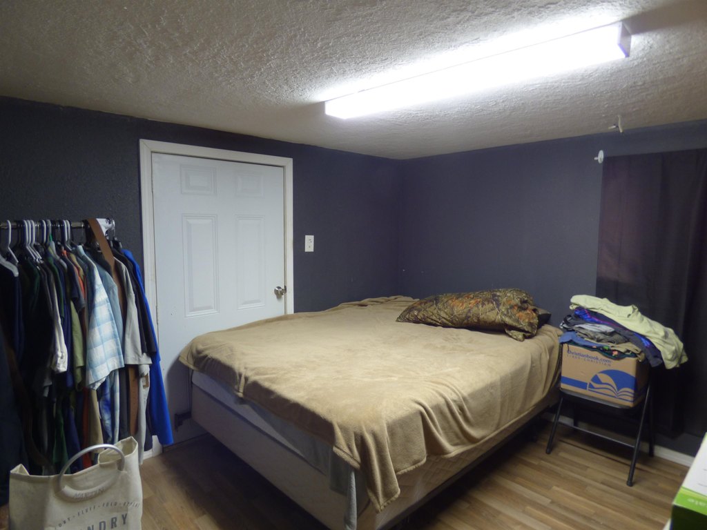 Picture 8