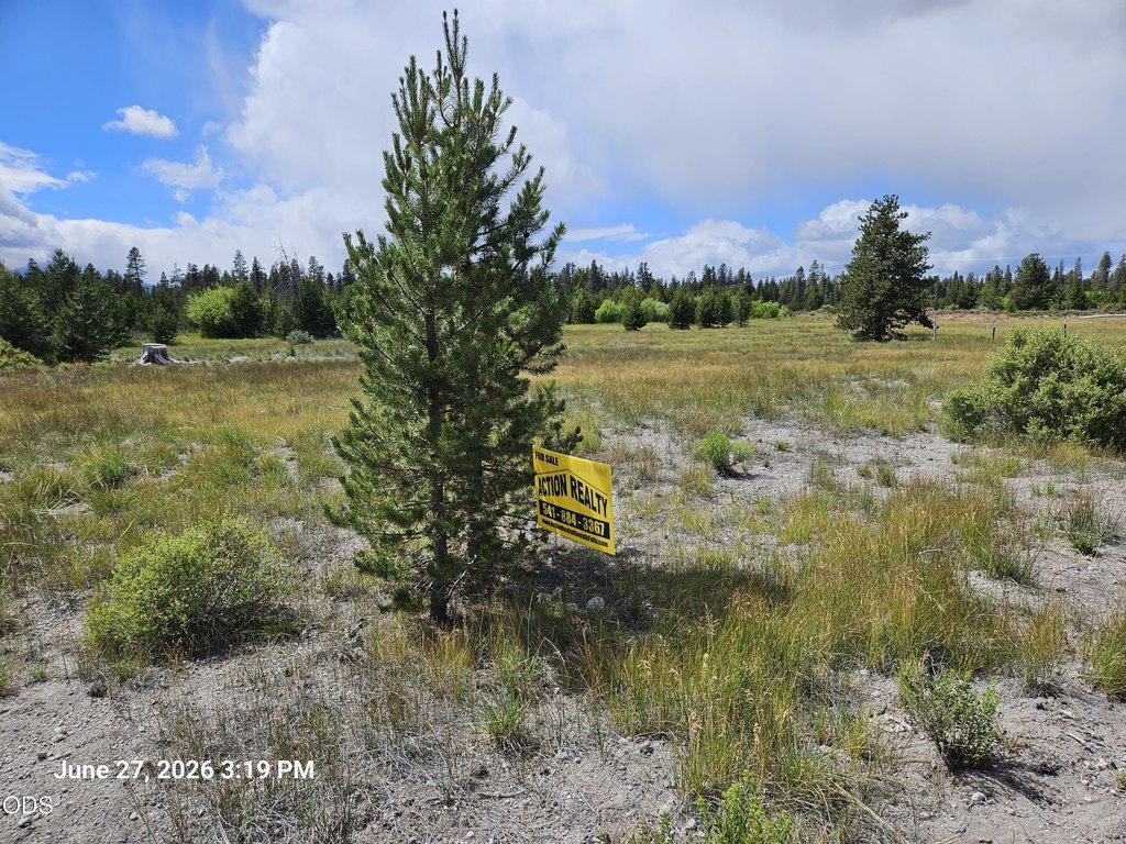 Picture 9