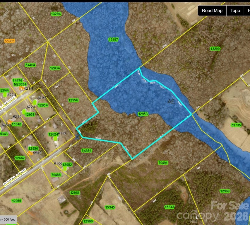 Picture 4