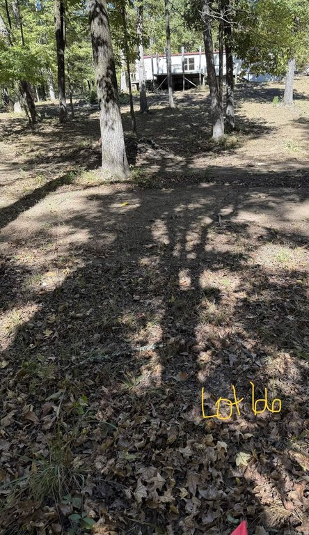 Picture 5