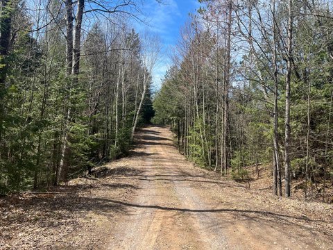Wooded Land Parcel in Minocqua