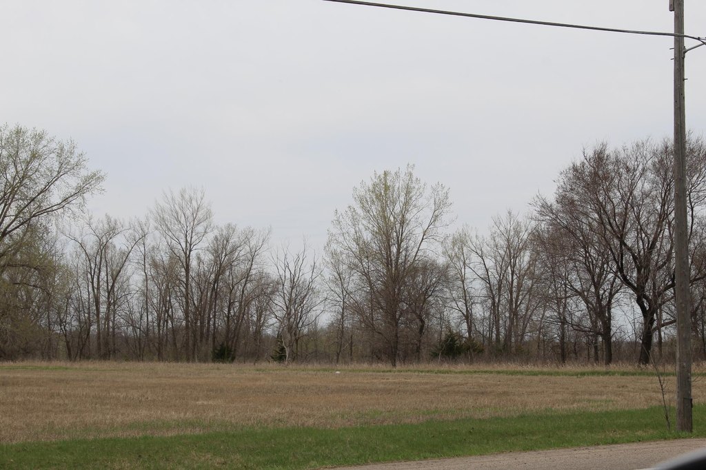 Picture 13
