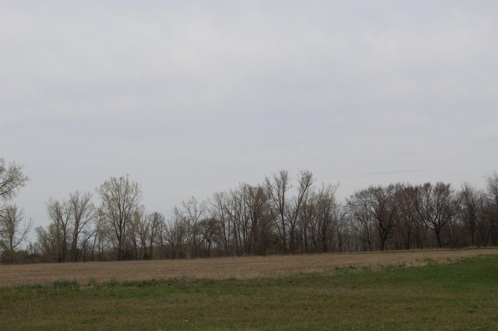 Picture 14
