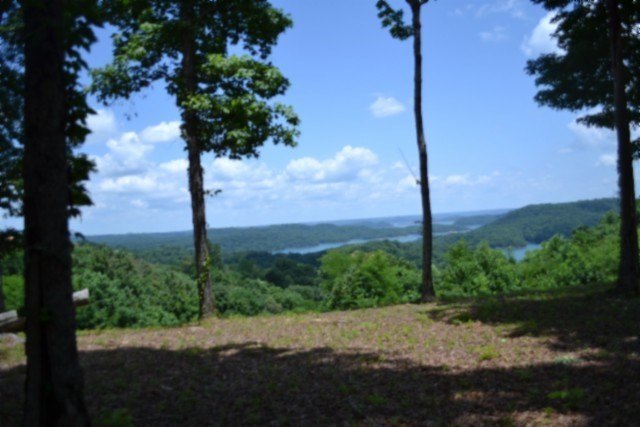 Picture 21