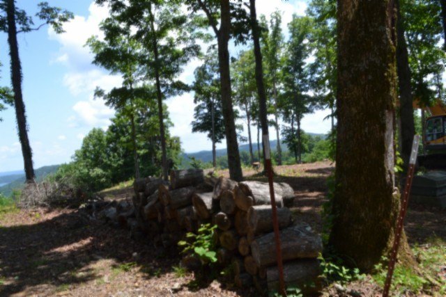 Picture 9
