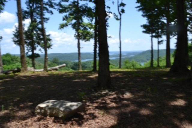 Picture 14