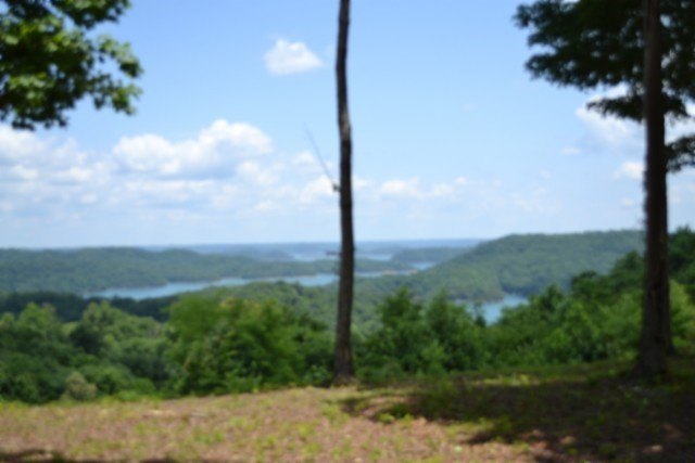 Picture 20