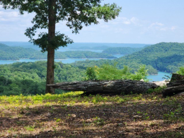Picture 8