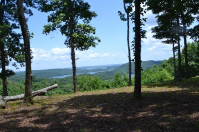 Picture 15
