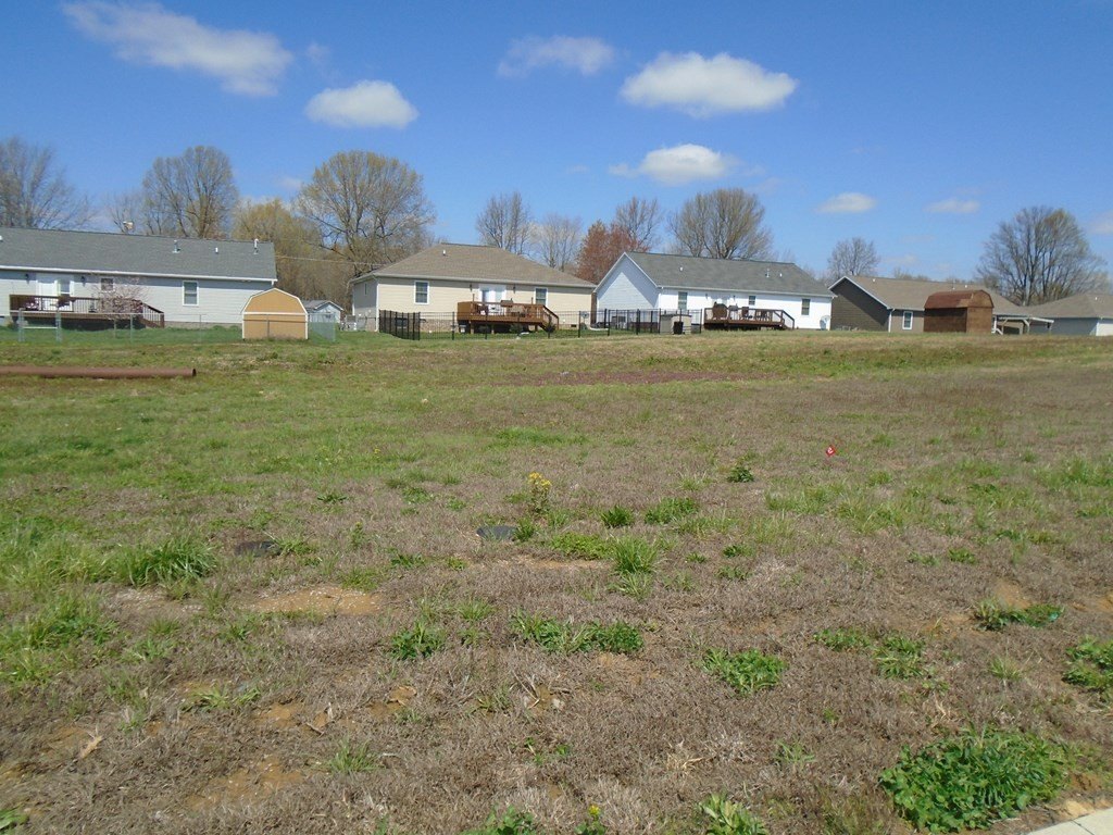 Picture 3