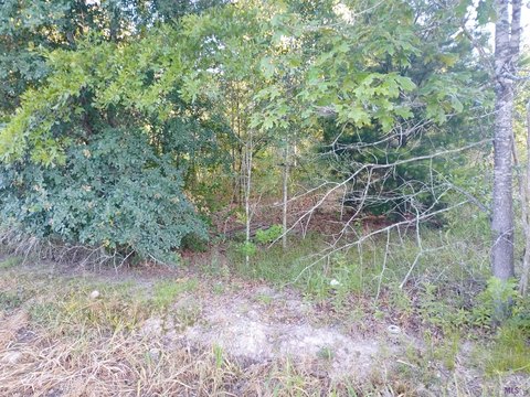 Livingston Land for Rural Living