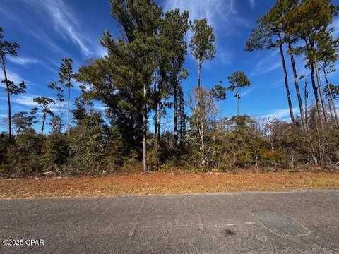 Wooded Lot in Compass Lake