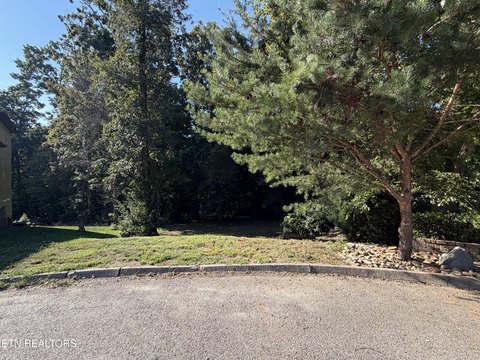 Lots & Acreage, Knoxville, TN
