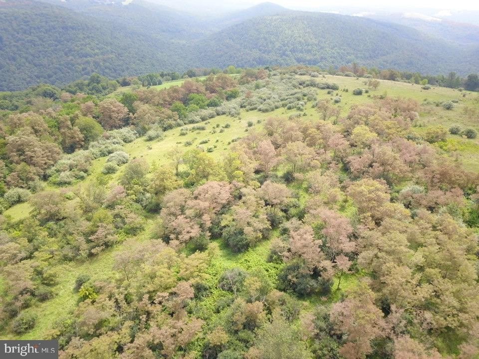 Picture 21