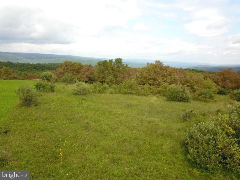 Picture 26
