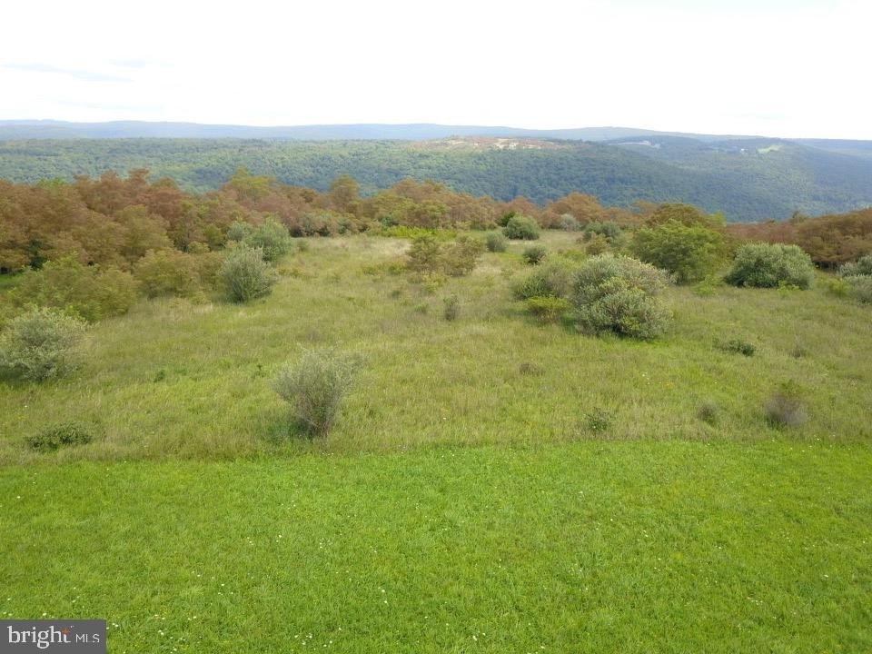 Picture 17