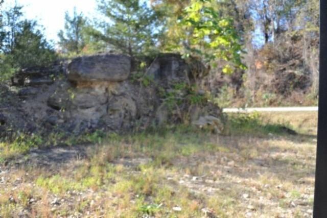 Picture 16