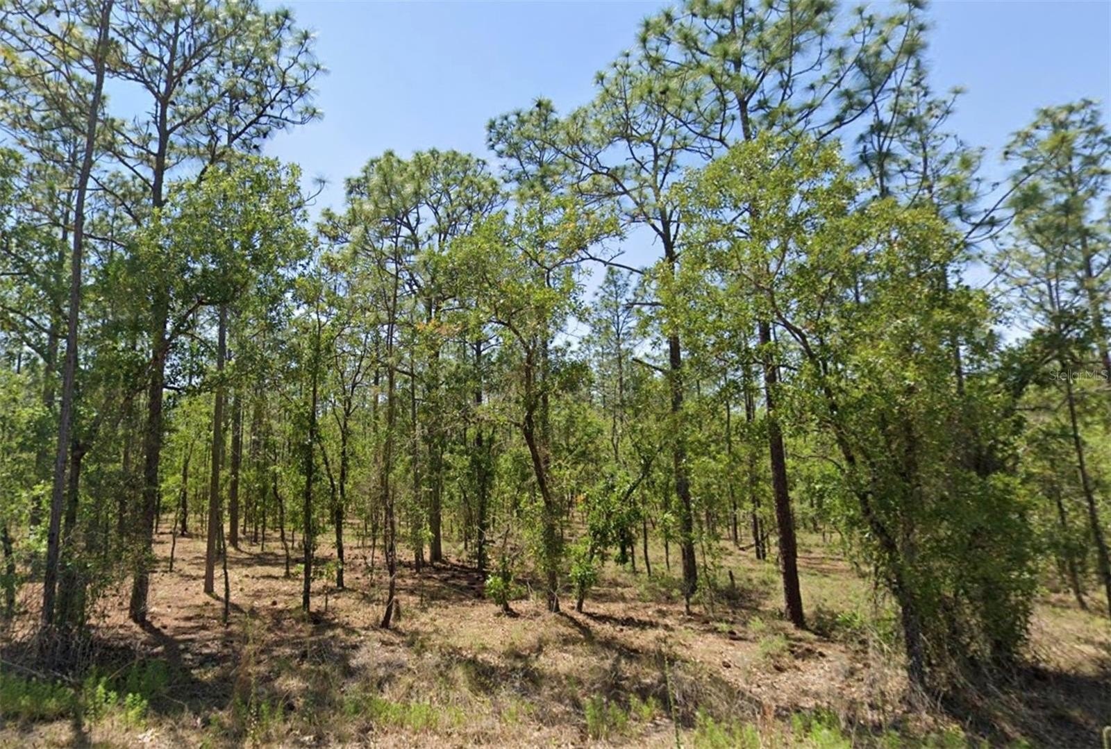 Land in Rainbow Lakes Estates