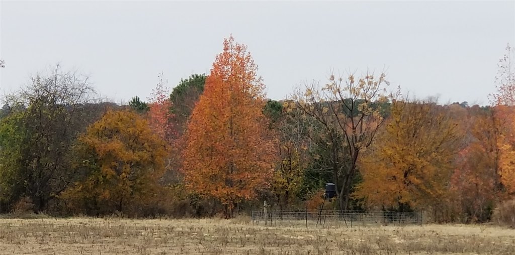 Picture 31