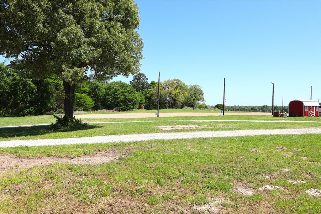 Picture 18