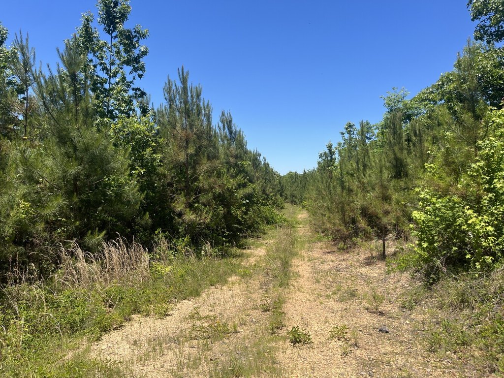Picture 18
