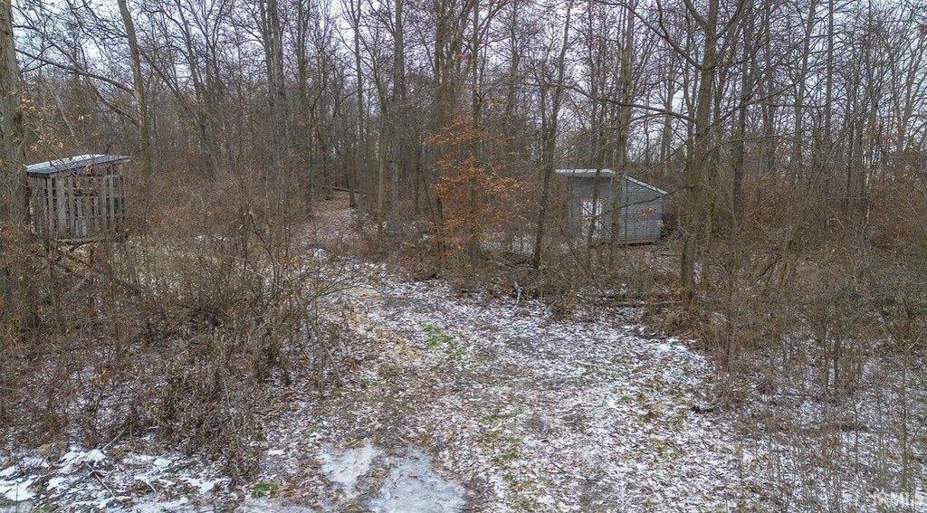Picture 6