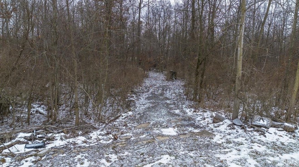 Picture 8