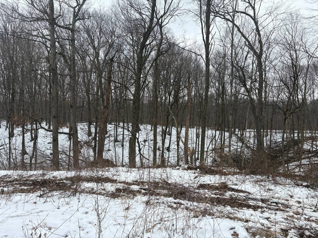 Picture 10