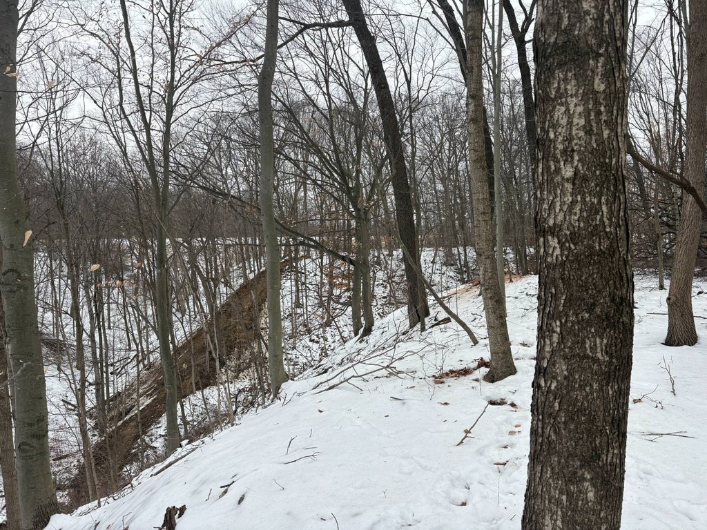 Picture 23