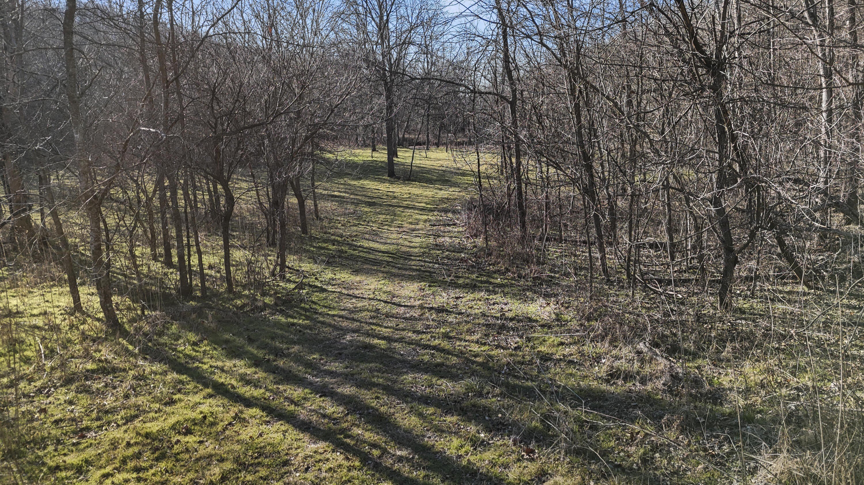 Ozarks Land Bordering Conservation Land