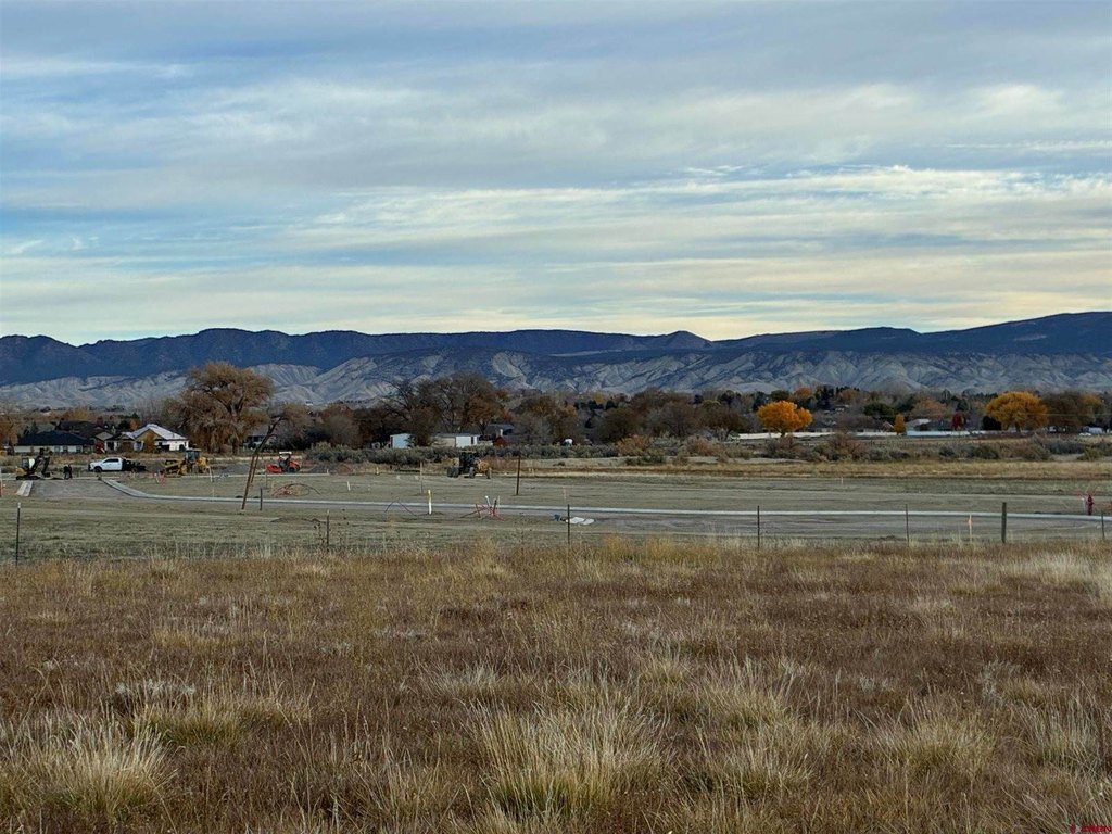 Picture 27