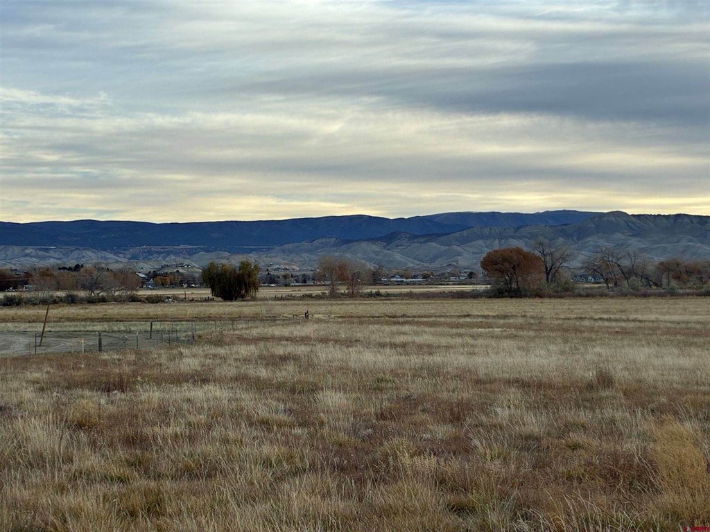 Picture 25