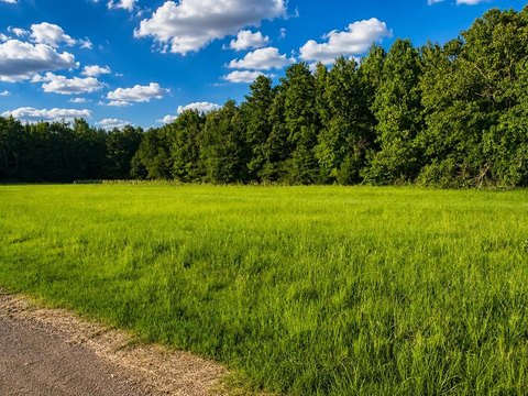 LAND - BRUCE, MS